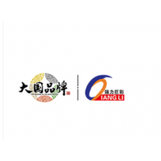 强力巨彩LED单色屏